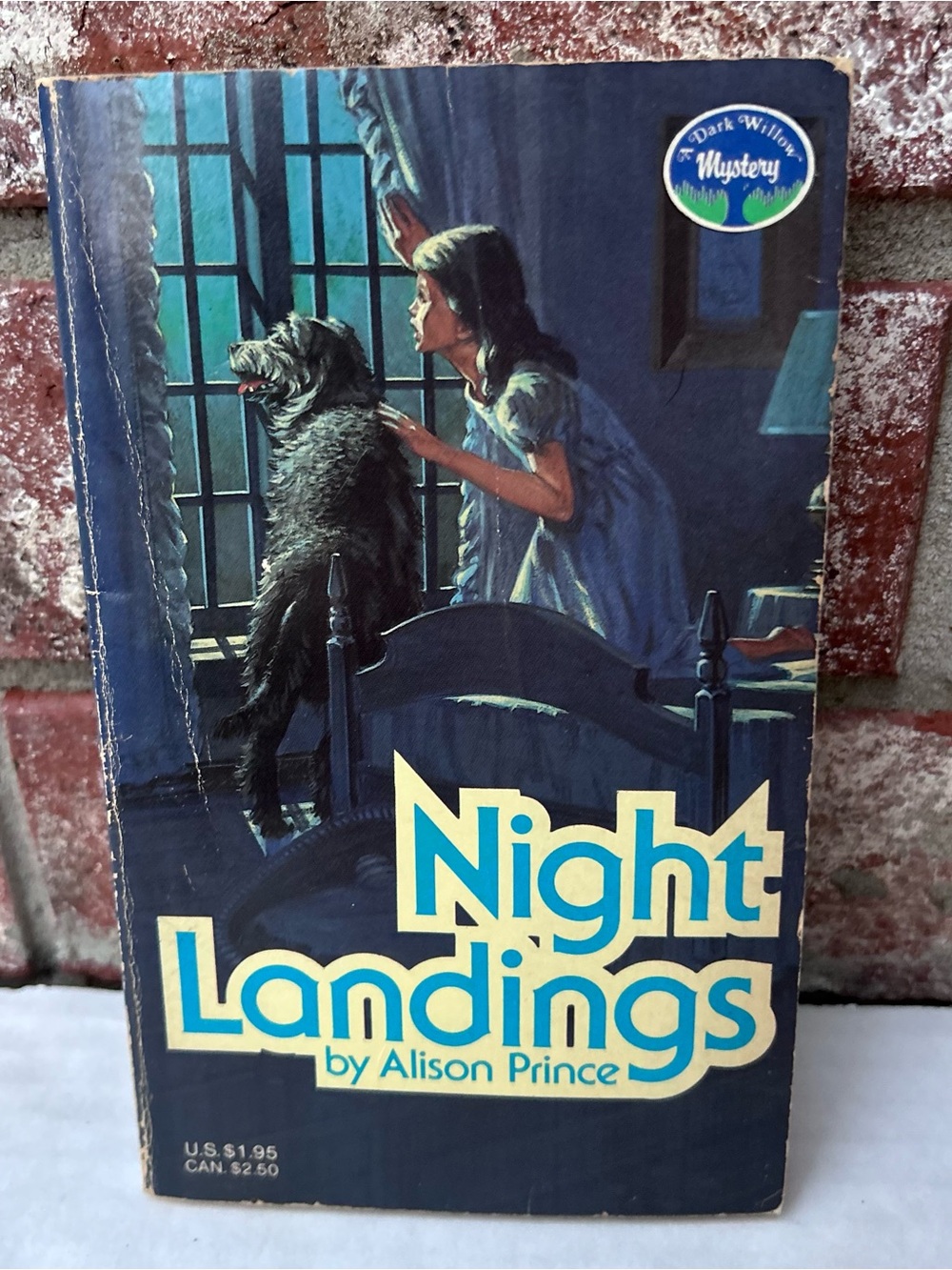 Night Landings Alison Prince Vintage Paperback 1986 Youth Mystery 0874060524